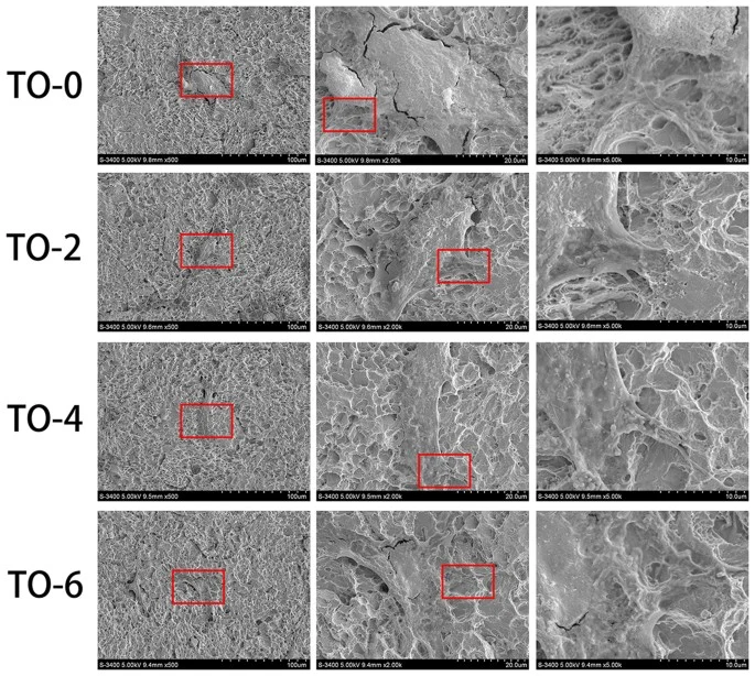 Titanium Biocompatibility and Food Grade Titanium: What the Standards Actually Say (And What They Don’t) 1 Titanium dioxide oxide layer surface on titanium implant material - SEM micrograph showing the protective passive film